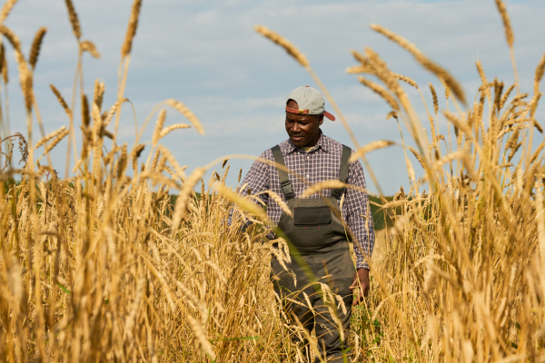 Highlands Heritage - Ethiopian Teff culture